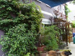 9908cd_179acd6242974e71a557eeac61e2d7d6_mv2_d_2048_1536_s_2