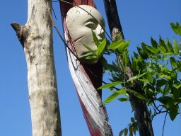 9908cd_9e39ef6ba82f4e8698354129f2e2778f_mv2_d_1536_2048_s_2